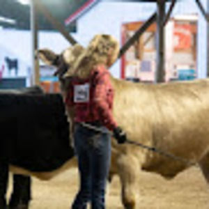 Meet your Posher, Annabelle